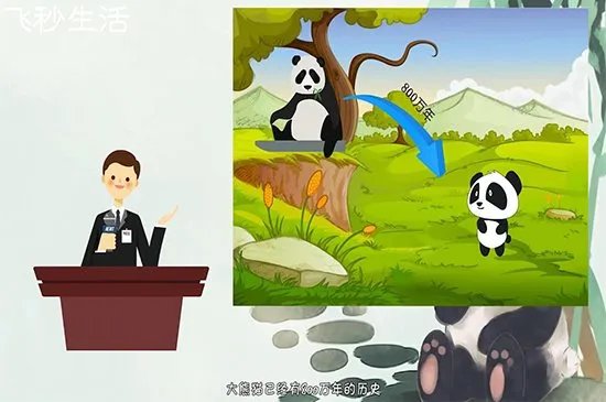 大熊猫为什么被视为中国的国宝