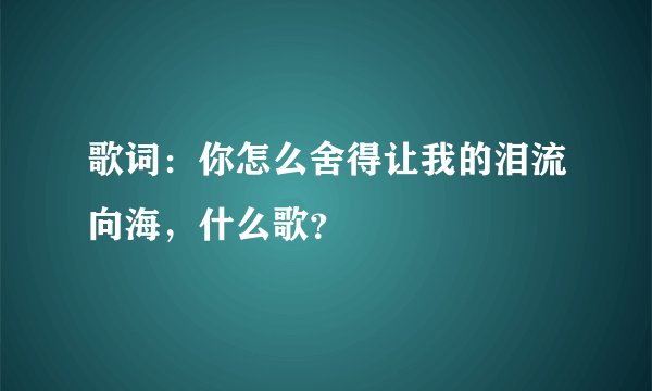 歌词：你怎么舍得让我的泪流向海，什么歌？
