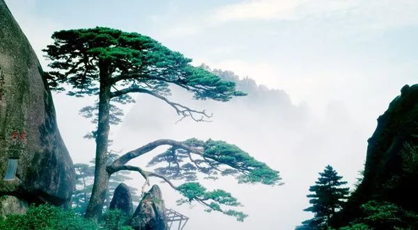 3月份国内旅游景点推荐