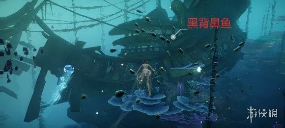 《天谕手游》鱼类图鉴大全 沉船附近鱼类位置一览