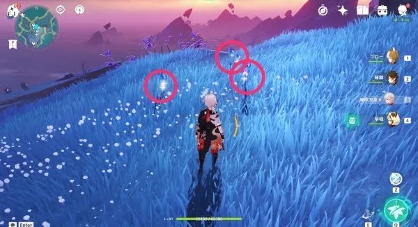 《原神》天云草实收集路线 3.3天云草实位置及获取方法