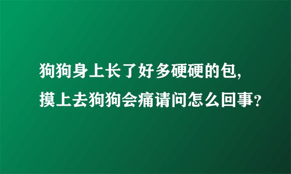 狗狗身上长了好多硬硬的包,摸上去狗狗会痛请问怎么回事？