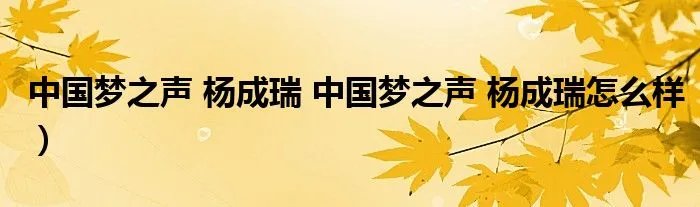 中国梦之声 杨成瑞 中国梦之声 杨成瑞怎么样）