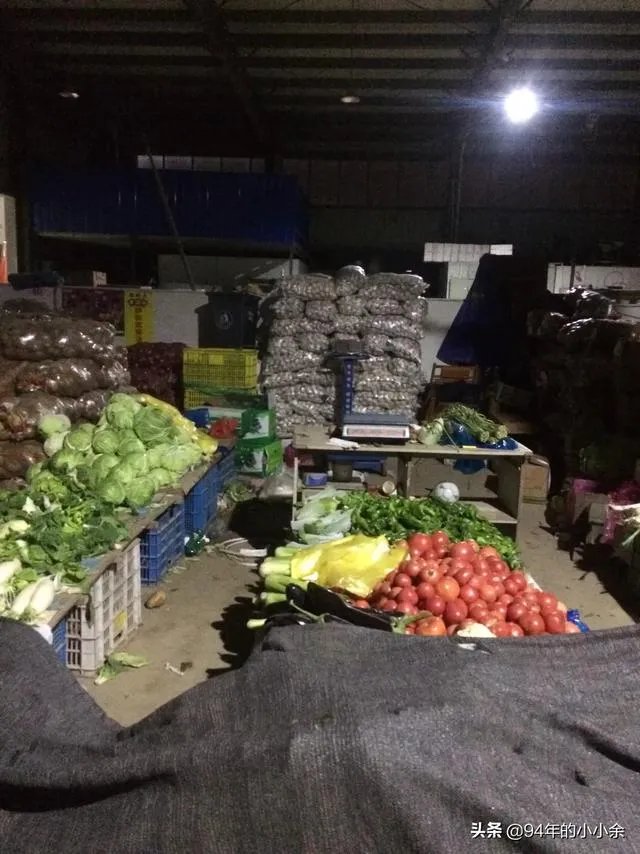 天津蔬菜怎么这么贵