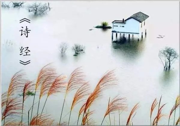 “投我以木桃，报之以琼瑶”是什么意思？