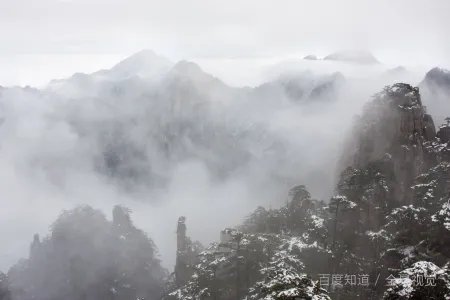 黄山香烟价格表是怎样的？