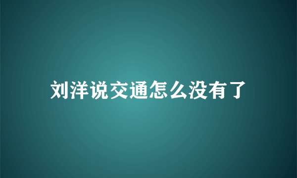 刘洋说交通怎么没有了
