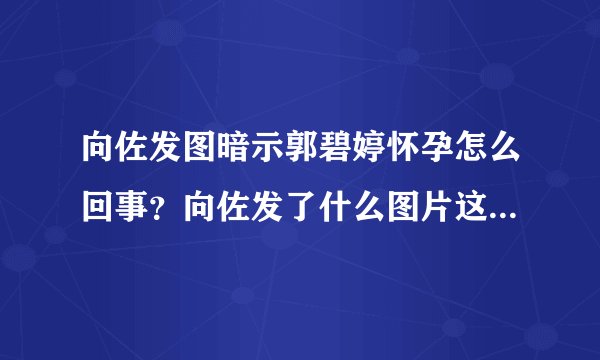 向佐发图暗示郭碧婷怀孕怎么回事？向佐发了什么图片这5个字意味深长