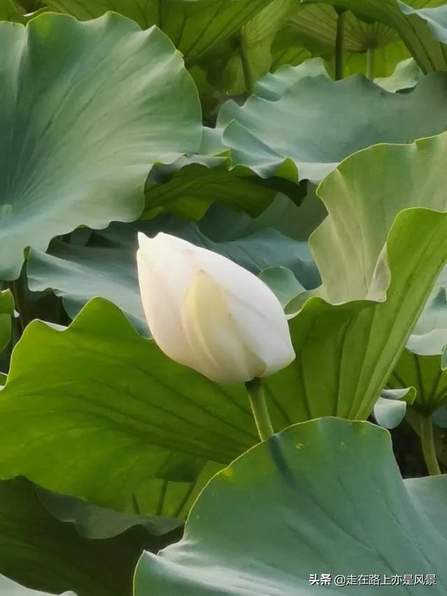 我们三个一起吃饭上课，她们两关系更好一点，我像半透明一样，现在我自己吃饭上课，想问要不要删除微信？