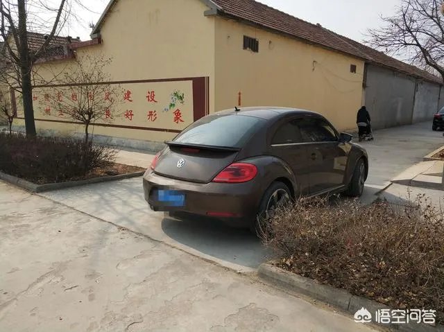 农村种植什么最合适？