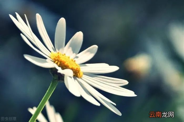 对待感情不是过家家 爱情不是过家家