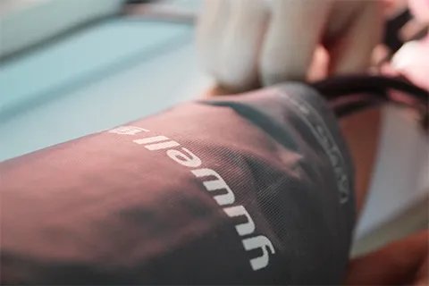 雪菊的功效与作用