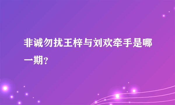 非诚勿扰王梓与刘欢牵手是哪一期？