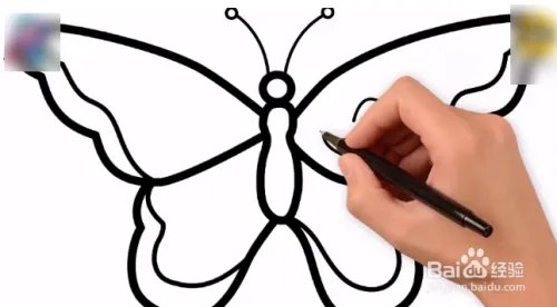 简笔画蝴蝶图片大全 彩色