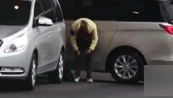 夏之光道歉是怎么回事 夏之光道歉的原因是什么