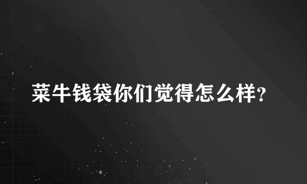 菜牛钱袋你们觉得怎么样？