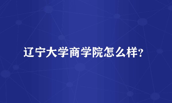 辽宁大学商学院怎么样？