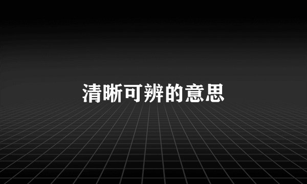 清晰可辨的意思
