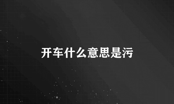 开车什么意思是污