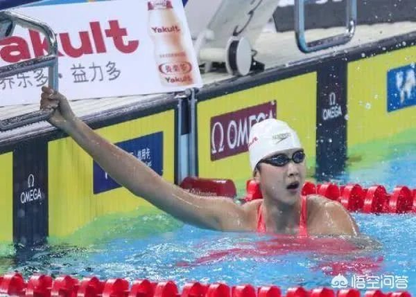 中国游泳队能战胜莱德基吗？