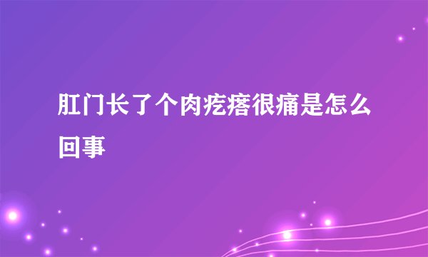 肛门长了个肉疙瘩很痛是怎么回事