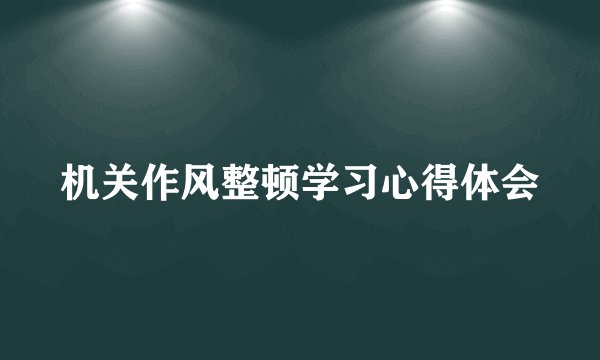 机关作风整顿学习心得体会