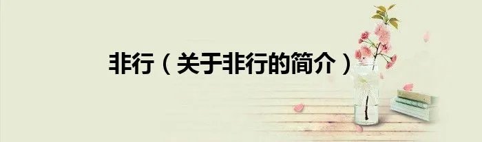 非行（关于非行的简介）