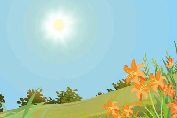 三伏天有什么特点