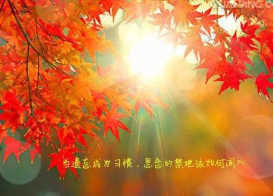 (虐文)恍若初见小说 安简阳叶璇玑完整版阅读