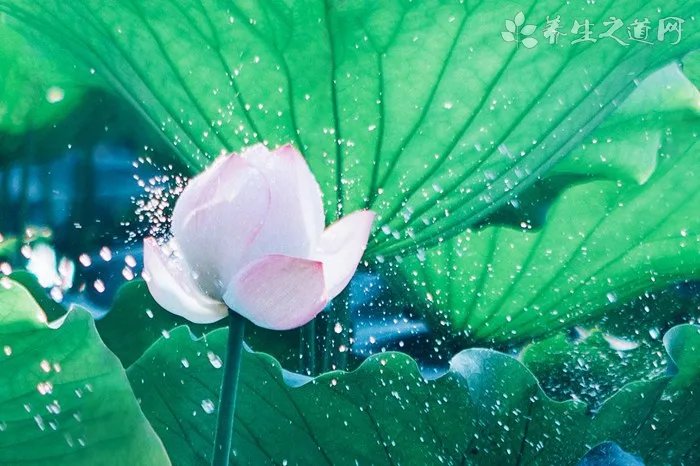 这个6月一起仰望星空 6月将现日环食