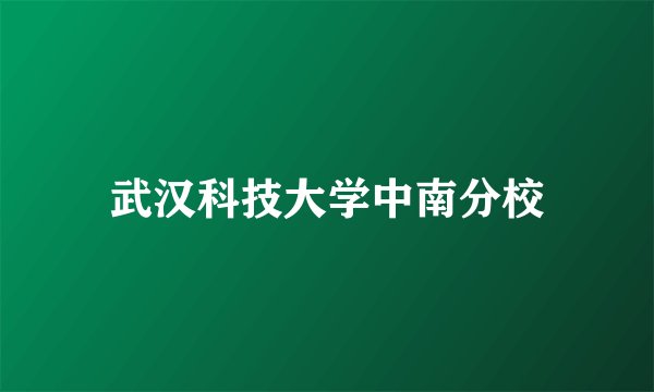 武汉科技大学中南分校