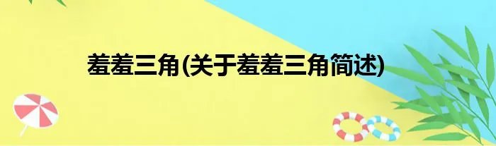 羞羞三角(关于羞羞三角简述)