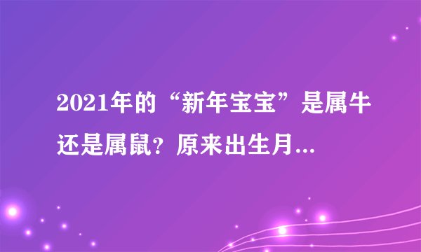 2021年的“新年宝宝”是属牛还是属鼠？原来出生月份也有讲究