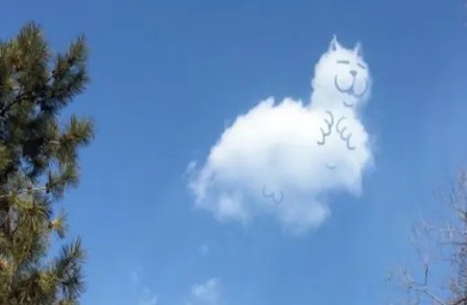 天空中漂浮的云，可能有多重？重量受什么影响？