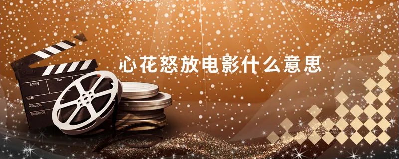 心花怒放电影什么意思