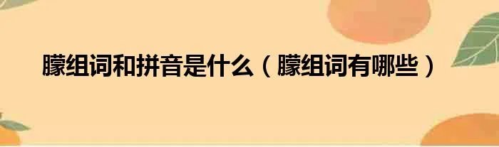 朦组词和拼音是什么（朦组词有哪些）