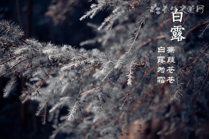 农历闰月几年一次