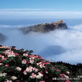 求峨眉山一日游最佳攻略？