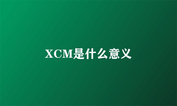 XCM是什么意义