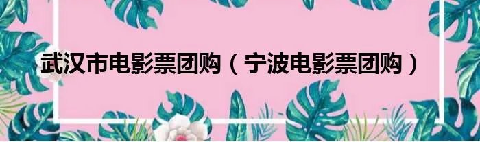 武汉市电影票团购（宁波电影票团购）