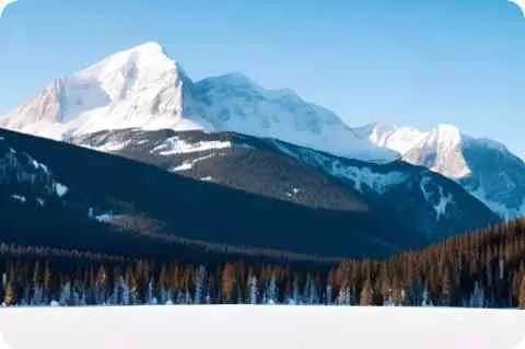 狮猁怪详细资料大全