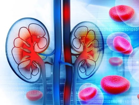 怎样看肾功能化验单的检查结果