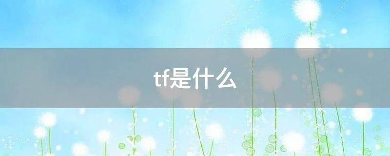 tf是什么