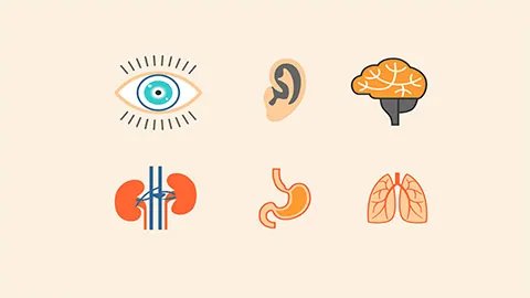 焦虑症怎么能治好