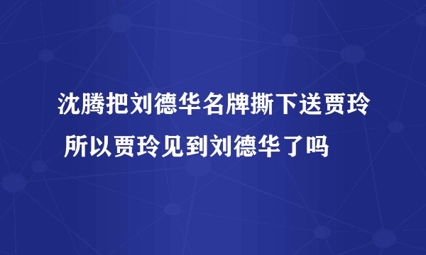 沈腾把刘德华名牌撕下送贾玲 所以贾玲见到刘德华了吗