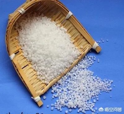 什么是中量元素水溶肥？有哪些作用？