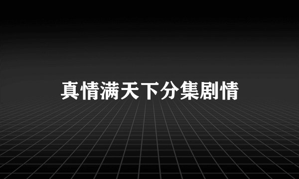 真情满天下分集剧情