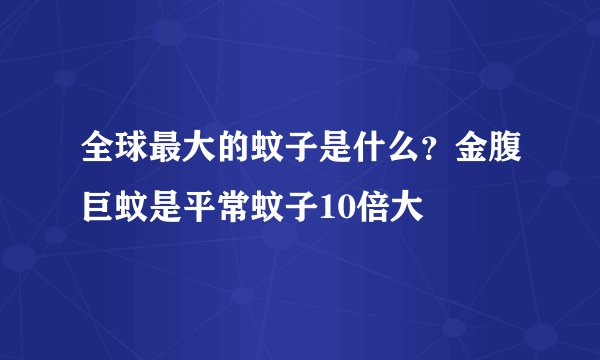 全球最大的蚊子是什么？金腹巨蚊是平常蚊子10倍大
