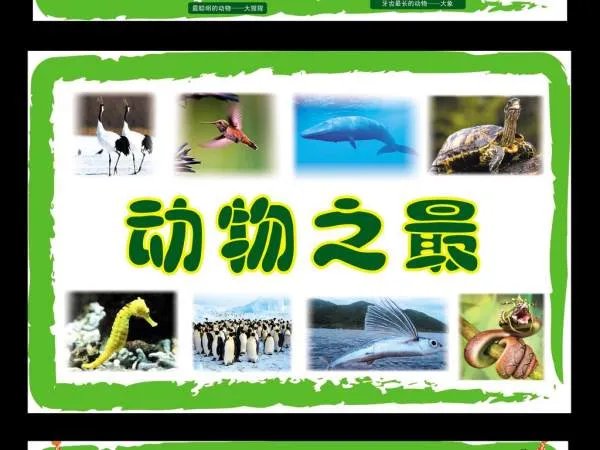 动物之最有哪些