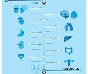 美国麦格乳房假体